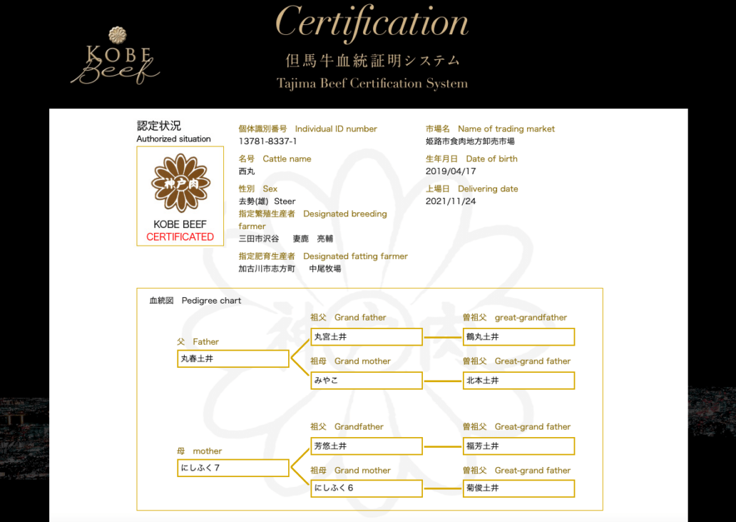 Kobe Oxfile Certifikation